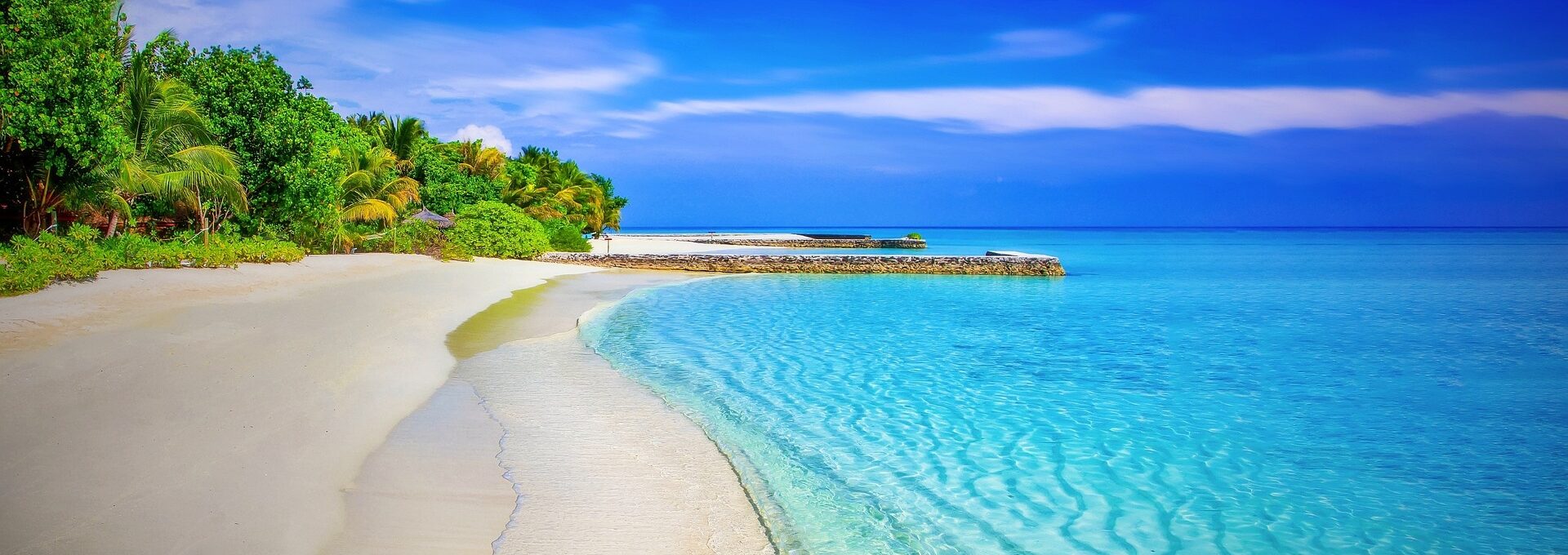 Tenemos lo que buscas