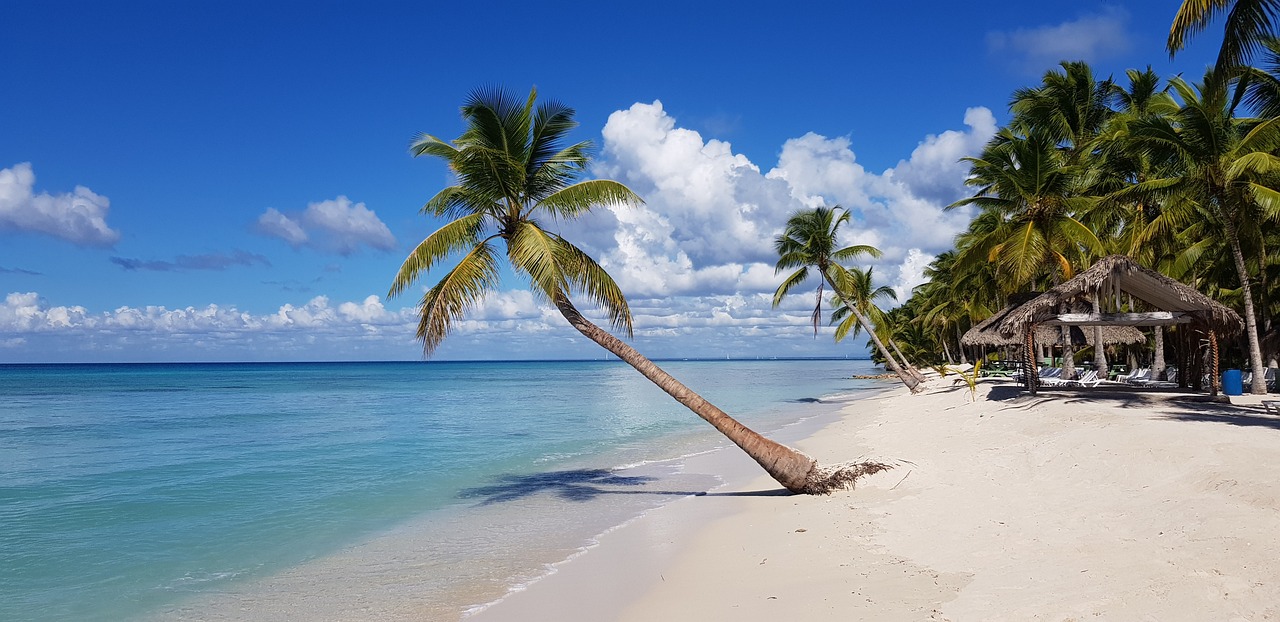 Isla saona