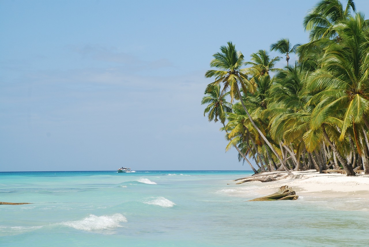 Isla saona