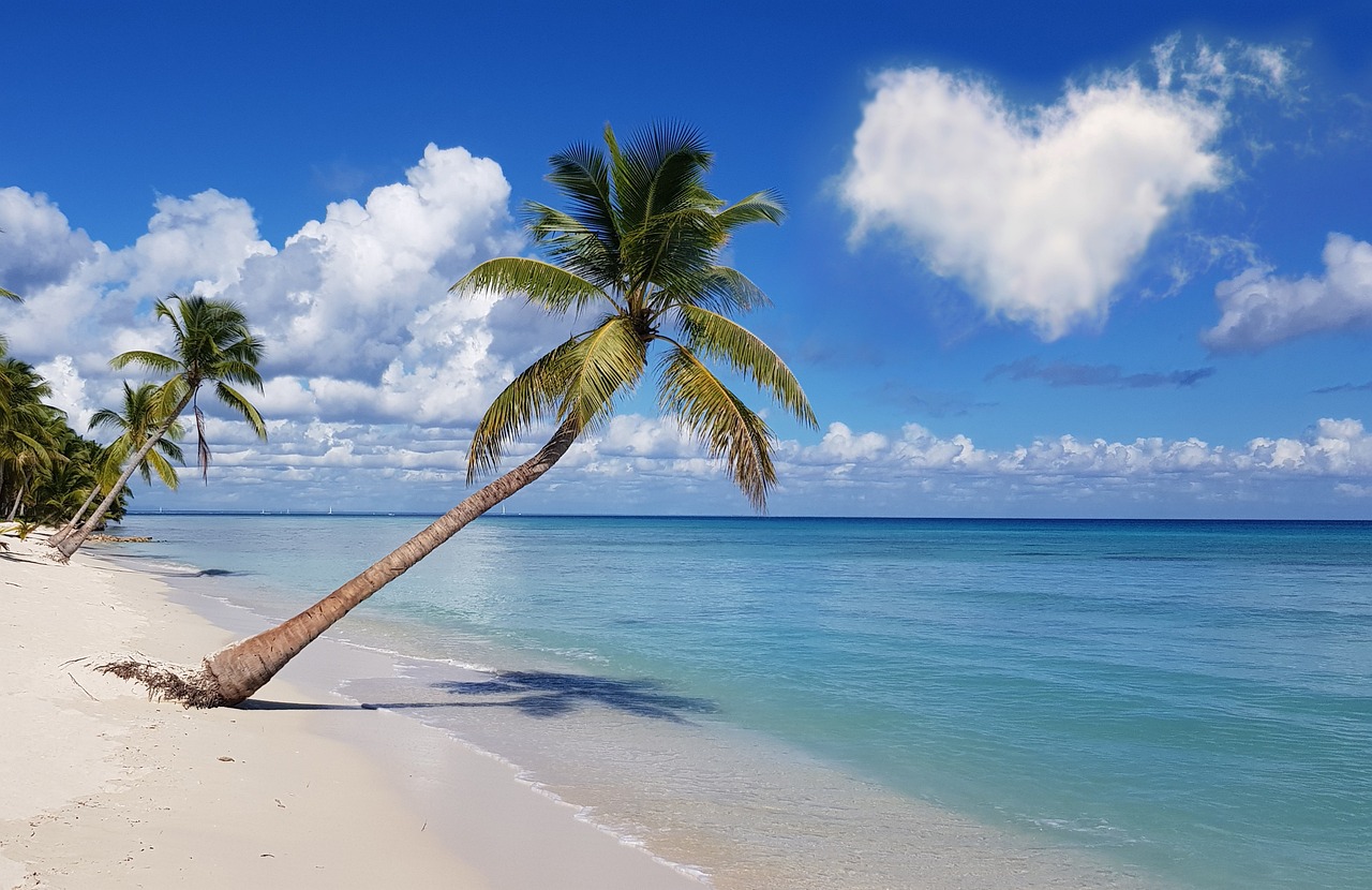 Isla saona
