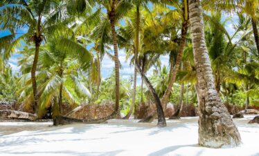 Isla saona