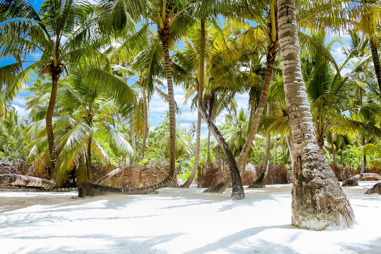 Isla saona
