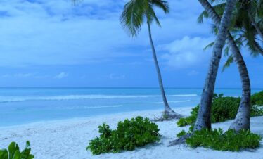 Isla saona