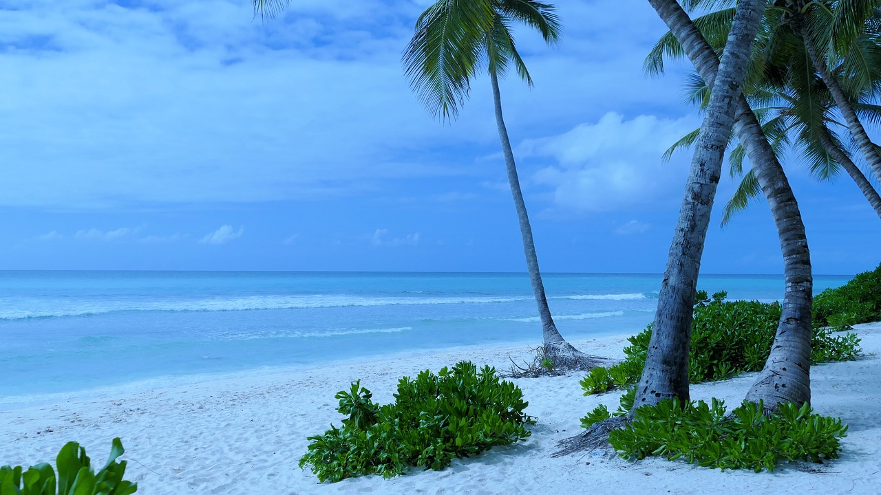 Isla saona