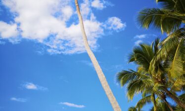 Isla saona