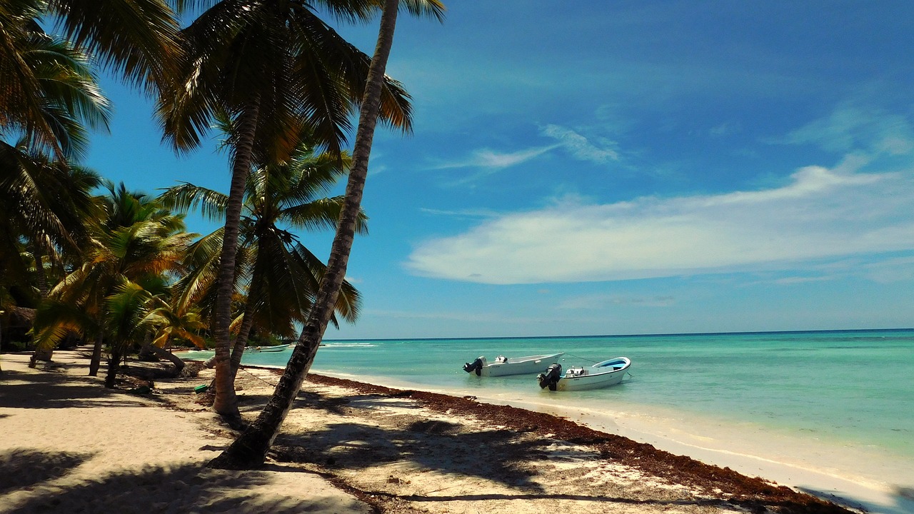 Isla saona
